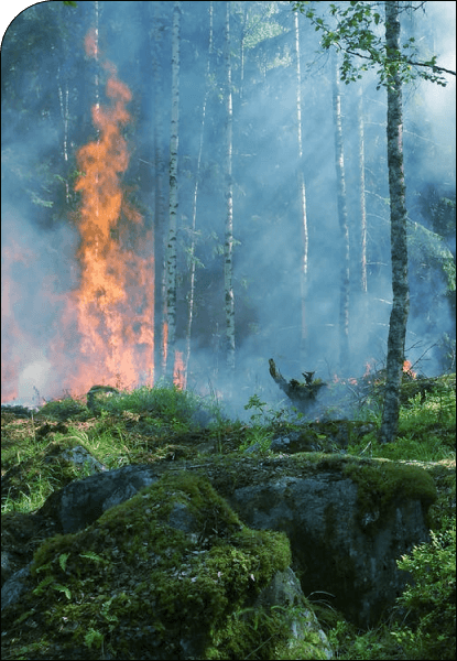 Objectives Image